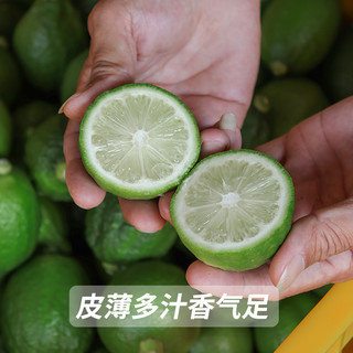 一级广东香水柠檬青柠檬无籽新鲜手打浓香奶茶店香柠檬茶用多汁