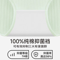 黛尔佳人 DAIERJIAREN中腰收腹内裤女士纯棉全棉裆2025亲肤透气大码女生三角裤短裤 高腰B组【实发5条】 L (适合90-110斤)
