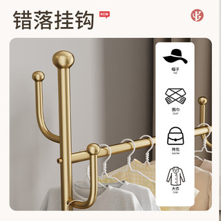 麦瑞迪衣架落地轻奢移动衣帽架加粗结实房间晾衣服挂架置物架卧室挂衣架 洞洞筐-60cm金色