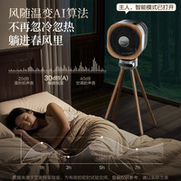 艾美特家用循环扇艺术风扇高端循环扇复古风小静奢循环扇AIR15