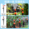 绿族自动浇水器定时浇花浇灌喷雾喷头喷淋系统花园灌溉淋花器智能