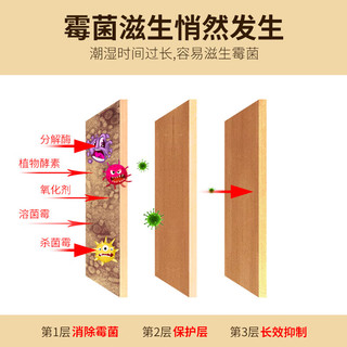 绿纳康木材家具除霉剂木质木头衣柜子霉菌清除床板菜板竹制品发霉去霉斑 木材家具竹木制品除霉剂