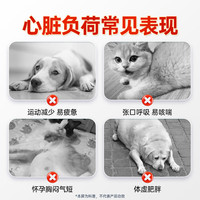 宠医到宠物辅酶Q10胶囊狗猫心肌肥大血管肥厚犬心辅酶素Q10护心胶囊60粒