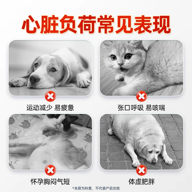 宠医到宠物辅酶Q10胶囊狗猫心肌肥大血管肥厚犬心辅酶素Q10护心胶囊60粒