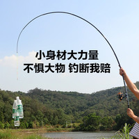 迷你小矶钓竿软尾小矶杆海杆 超短便携钓鱼竿海竿套装 小矶钓竿裸竿(无轮无) 3.0米