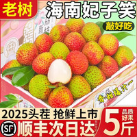 椰箩 海南桂花香荔枝 现摘荔枝新鲜水果礼盒 山姆款五斤装礼盒【单果20g+