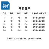 真维斯 2024夏季t恤短袖宽松圆领凉感休闲运动上衣薄款体恤 灰色R30 L(110-120斤)