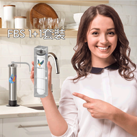 飞力萊斯 Fairey 飞力 丹顿 FBS-T台上陶瓷滤芯净水器 家用厨房自来水滤水器 套装一（含全瓷滤芯两支） FBS