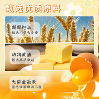 焙小姐曲奇蛋挞皮烘焙原料家用黄油蛋挞皮生皮葡式蛋挞皮蛋挞液套餐组合 【囤货畅享】葡式蛋挞皮60个