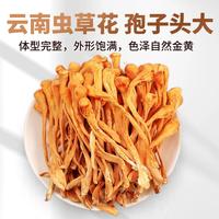 虫草花云南干货北虫草蛹虫草金虫草菌菇火锅食材汤料包煲汤调味料