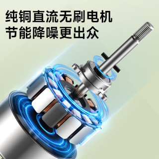 钻石牌 落地扇家用电风扇摇头扇节能省电一级能效直流变频风扇无极变速调控强劲风力大网罩DFS-ZBHM07