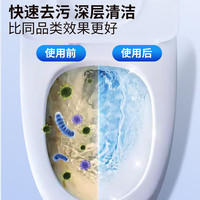 诗芮源洁厕灵马桶清洁剂厕所清洁厕宝除垢洁厕液家庭装 1 瓶装
