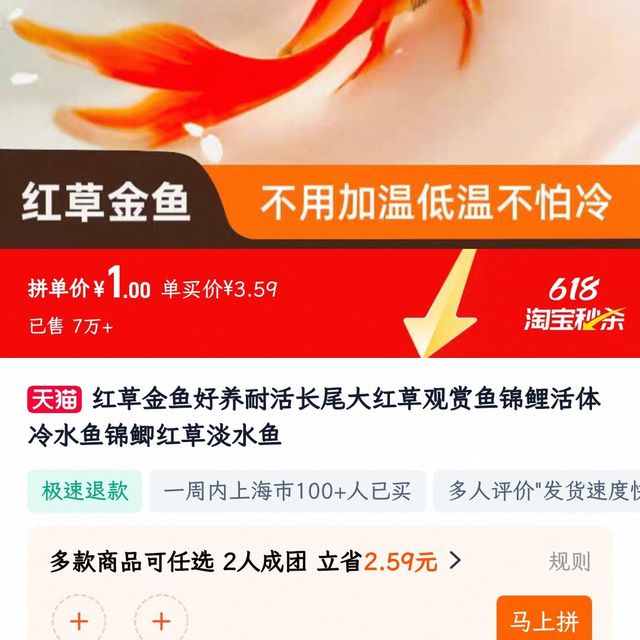 草金鱼3-4cm，1元5条