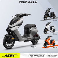 极核 ZEEHO 新国标电动自行车电动车踏板电自铅酸电自AE5i铅酸48V12AH电动车 AE5ipro（48V12AH）