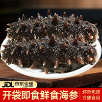 移动端、京东百亿补贴：美风堂 海参即食 大连海参鲜食野生辽参非干货刺参海鲜水产20-30只/500g 7A鲜食海参（16-25只/斤）