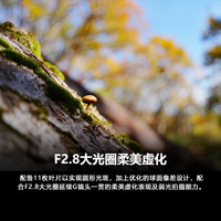 SONY/索尼 G大师 全画幅微单镜头