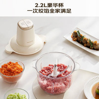 九阳绞肉机家用碎肉机电动多功能绞馅蒜蓉搅拌料理机肉馅机烹饪机