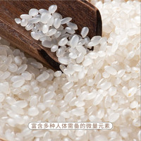 好稻村 新米尝鲜 东北大米