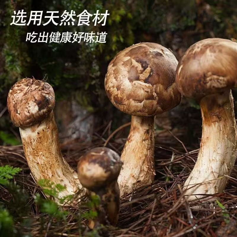 口味全松茸鲜调味料 0添加代替鸡精家用炒菜煲汤宝宝提鲜调味料 【家庭优惠款】