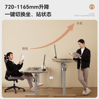 乐歌电动升降桌升降电脑桌电竞升降桌书桌办公学习桌子E2灰胡桃木色
