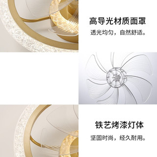  NVC/雷士 三色调光 吊扇灯  多种色温 金色 24-36W