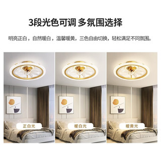  NVC/雷士 三色调光 吊扇灯  多种色温 金色 24-36W