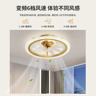  NVC/雷士 三色调光 吊扇灯  多种色温 金色 24-36W