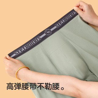 七匹狼保暖内衣男士莫代尔棉混纺内衣套装男秋冬薄款防螨抗菌打底内衣 防螨抗菌内衣套装-柔青 L (170/95)（110-130斤）