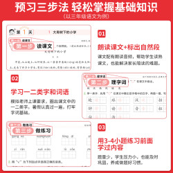 一本 25秋新教材暑假预习衔接训练 二升三语文数学英语