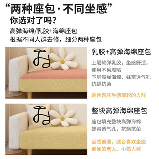 鑫八闽（xinbam）沙发客厅2025家具小沙发床一体三人双人小户型直排 卡其色【泰迪绒】 三人1.7米【乳胶款】