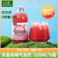 远番杨梅果汁气泡水NFC果汁常温碳酸饮料320ml*6瓶 杨梅气泡水6瓶