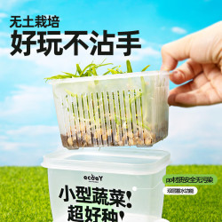 生态E园 ecoeY 儿童diy植物观察水培种植套装 鸡毛菜