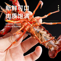 淼松 活鲜 小龙虾