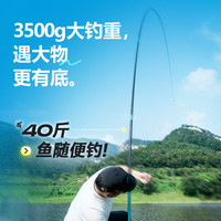 汉鼎全能战全新鱼竿手竿鲢鳙台钓竿轻硬碳素综合钓鱼竿轻量大物竿 10m 全新加强版竿稍