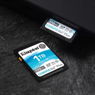 金士顿单反数码相机SD大卡高速储蓄卡CANVAS GO PLUS 高清4K录像A2V30U3适用佳能尼康索尼富士SDXC内存卡 金士顿SD蓝卡 512G 读取170mb/s写入90mb/s