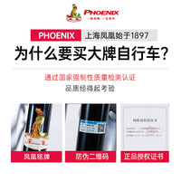 凤凰(Phoenix)儿童自行车儿童3-6-10-12岁以上带辅助轮儿童自行车凤凰儿童单车 高配绿丨辐条轮碟刹+辅助轮+脚撑 14寸【适合95-120cm】