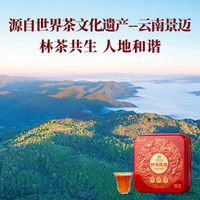 八马茶业信记号 好运连连普洱茶 熟普100g 2018年小圆饼 茶叶盒装 2018年熟普20片100g