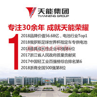 天能真黑金石墨烯铅酸电池48/60/72V电动车电瓶车适配雅迪爱玛三轮车 真黑金48V13.2AH(4只)