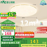 東東家居 满天星系列 D0436-X/24W/TR LED圆卧灯