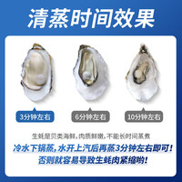 百味殿【活鲜】生蚝 乳山牡蛎 新鲜海蛎子生鲜贝类 【现铺现发】5XL净重4斤(8-12只)