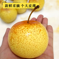 玫栀正宗花盖梨东北鞍山特产软梨子可做冻梨水果秋子梨 5斤 【精选礼盒】16枚