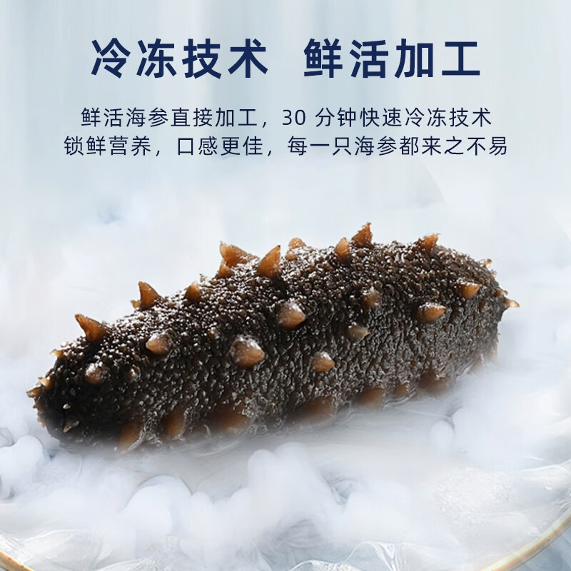 连海肴即食海参 大连鲜食海参独立包装 辽参刺参化冻即食 海鲜礼盒 小号2斤【60-80只】固形物≥85%