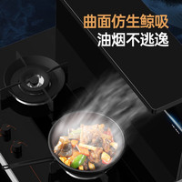 火星人集成灶ET25BX 集成灶消毒柜 集成灶一体式 右灶定时 集成烹饪中心 油烟机 燃气灶 天然气右排烟