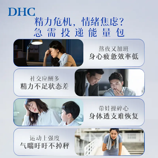  DHC/蝶翠诗 持续型 维生素B族片  60粒*1（拍3减85元） 袋装