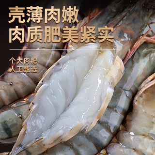 xianchi/鲜驰 特大虾 黑虎虾