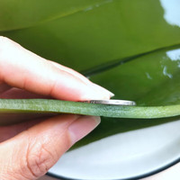 铎上大连盐渍海带条片块新鲜宽厚火锅串串麻辣烫关东煮钵钵鸡食材 2.5kg