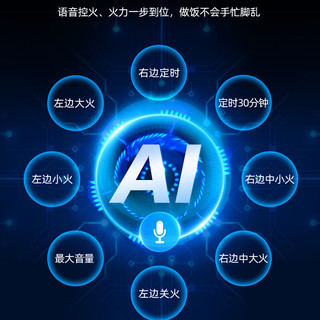 火王（Hione）语音液化气煤气灶双灶家用智能触控磨砂面板易清洁灶具燃气灶天然气灶M2/2302插电款