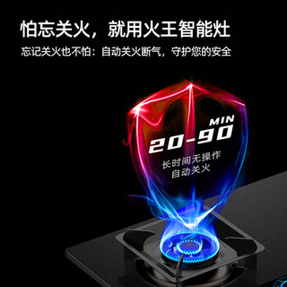 火王（Hione）语音液化气煤气灶双灶家用智能触控磨砂面板易清洁灶具燃气灶天然气灶M2/2302插电款