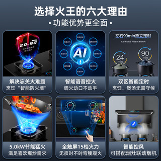 火王（Hione）语音液化气煤气灶双灶家用智能触控磨砂面板易清洁灶具燃气灶天然气灶M2/2302插电款