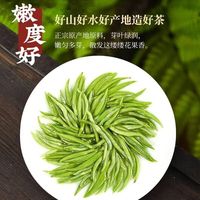 御贡仙芽春茶碧螺春2025新茶叶特级绿茶明前头采耐泡高山手工浓香型 嫩芽【碧螺春】250g罐